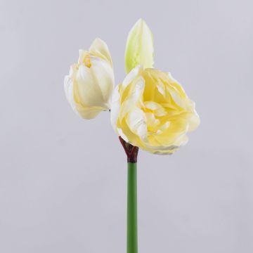 Amaryllis artificial GRELTA, crema-amarillo, 80cm Amaryllis artificial GRELTA, crema-amarillo, 80cm