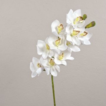 Rama de orquídea Cymbidium artificial LANAKILA, blanco, 75 cm