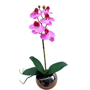 Orquídea decorativa Phalaenopsis ZARMINAH en maceta decorativa, raíces, cereza, 35 cm