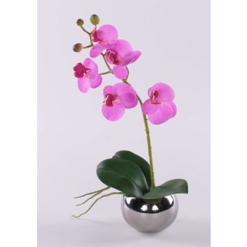 Orquídea decorativa Phalaenopsis ZARMINAH en maceta decorativa, raíces, cereza, 35 cm Orquídea decorativa Phalaenopsis ZARMINAH en maceta decorativa, raíces, cereza, 35 cm