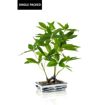 Bonsái de castaño de la suerte artificial IVANO en cuenco de cerámica estampado, verde, 60 cm Bonsái de castaño de la suerte artificial IVANO en cuenco de cerámica estampado, verde, 60 cm