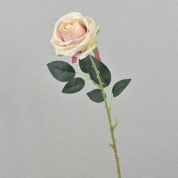 Rosa artificial ELEAZAR, rosa crema, 65 cm