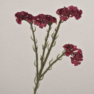Flor artificial Limonium AYISHA, aspecto seco, rojo oscuro, 65 cm