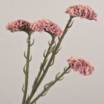 Flor artificial de limonaria AYISHA, aspecto seco, rosa viejo, 65 cm