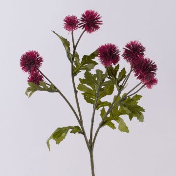 Rama de flor de cártamo artificial TRUDBERTA, aspecto seco, rojo burdeos, 55 cm Rama de flor de cártamo artificial TRUDBERTA, aspecto seco, rojo burdeos, 55 cm