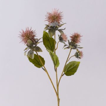 Rama de flores de cardo plástico VALDISOLI, aspecto seco, rosa viejo, 55 cm Rama de flores de cardo plástico VALDISOLI, aspecto seco, rosa viejo, 55 cm