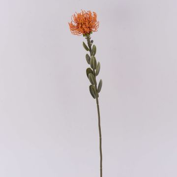 Flor artificial Protea URMINE, aspecto seco, naranja, 60 cm