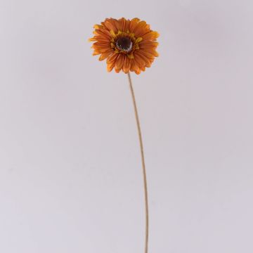 Gerbera artificial TUNGUSKA, aspecto seco, naranja, 50 cm Gerbera artificial TUNGUSKA, aspecto seco, naranja, 50 cm