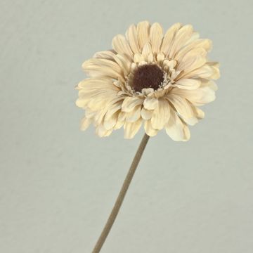 Gerbera artificial TUNGUSKA, aspecto seco, crema-beige, 50 cm