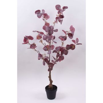 Eucalipto artificial WISCHERA, frutos, tronco artificial, maceta decorativa, rojo burdeos-gris, 90cm