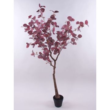 Eucalipto artificial WISCHERA, frutos, tronco artificial, maceta decorativa, rojo burdeos-gris, 150cm