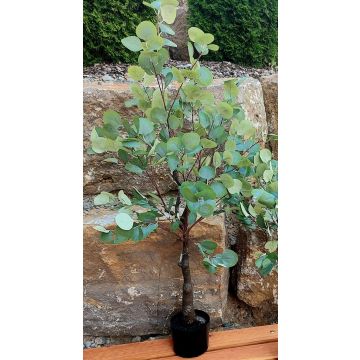 Árbol de eucalipto artificial WISGARD, tronco artificial, verde grisáceo, 180 cm Árbol de eucalipto artificial WISGARD, tronco artificial, verde grisáceo, 180 cm