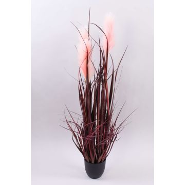 Hierba de la pampa artificial WERNHILD con panículas, maceta decorativa, rojo-marrón, 90cm Hierba de la pampa artificial WERNHILD con panículas, maceta decorativa, rojo-marrón, 90cm