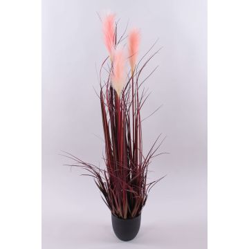 Hierba de la pampa artificial WERNHILD con panículas, maceta decorativa, rojo-marrón, 120cm Hierba de la pampa artificial WERNHILD con panículas, maceta decorativa, rojo-marrón, 120cm