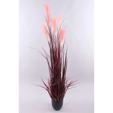 Hierba de la pampa artificial WERNHILD con panículas, maceta decorativa, rojo-marrón, 150cm Hierba de la pampa artificial WERNHILD con panículas, maceta decorativa, rojo-marrón, 150cm