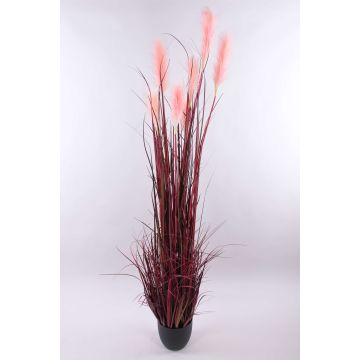 Hierba de la pampa artificial WERNHILD con panículas, maceta decorativa, rojo-marrón, 180cm Hierba de la pampa artificial WERNHILD con panículas, maceta decorativa, rojo-marrón, 180cm