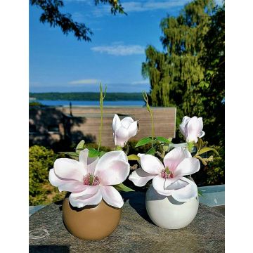Magnolia artificial FEMI en maceta de cerámica beige, rosa pálido, 20 cm, Ø 17 cm