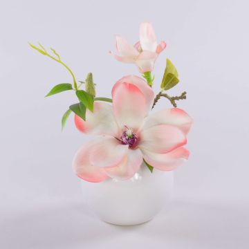 Magnolia artificial FEMI en maceta de cerámica blanca, albaricoque crema, 20 cm, Ø 17 cm