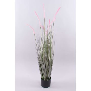 Hierba decorativa para limpiar lámparas PARIDKO con panículas, rosa-verde, 120cm Hierba decorativa para limpiar lámparas PARIDKO con panículas, rosa-verde, 120cm