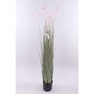 Hierba decorativa para limpiar lámparas PARIDKO con panículas, rosa-verde, 150cm Hierba decorativa para limpiar lámparas PARIDKO con panículas, rosa-verde, 150cm