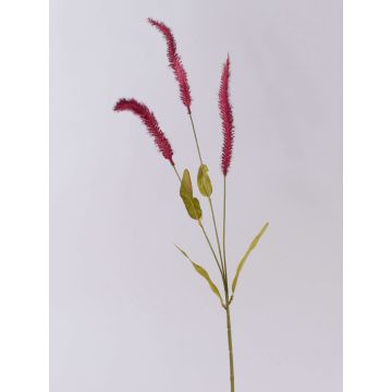 Rama decorativa de hierba Liriope JELIKANTA con panículas, rojo burdeos, 75 cm Rama decorativa de hierba Liriope JELIKANTA con panículas, rojo burdeos, 75 cm