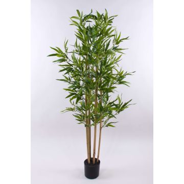 Bambú artificial SEUMAS, cañas de bambú auténticas, 150cm