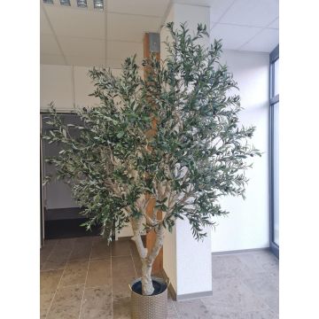 Olivo artificial MALACHI con frutos, tronco artificial, maceta decorativa, 250 cm Olivo artificial MALACHI con frutos, tronco artificial, maceta decorativa, 250 cm