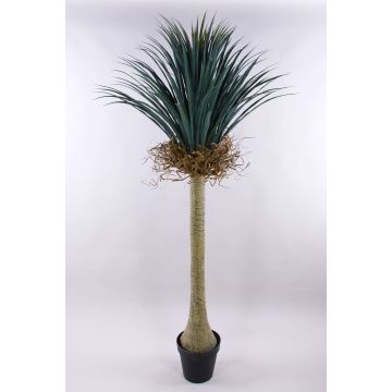 Yuca artificial HARDIN, maceta decorativa, 180cm
