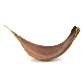 Hoja de coco seca grande CHIPUNA, marrón, 30-120 cm