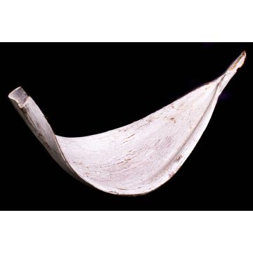 Hoja de coco seca grande CHIPUNA, encalada, 30-80 cm