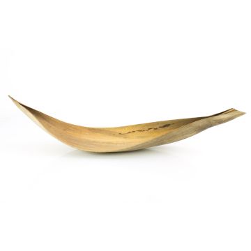 Hoja de coco seca grande CHIPUNA, beige-marrón, 60-80 cm