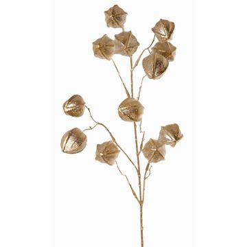 Rama decorativa de physalis DUGONG con frutos, dorada, 90cm Rama decorativa de physalis DUGONG con frutos, dorada, 90cm