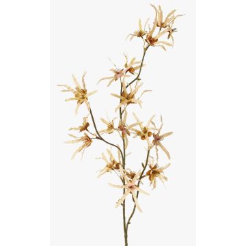 Rama artificial de hamamelis ORAFA con flores, beige, 80cm, Ø4-8cm Rama artificial de hamamelis ORAFA con flores, beige, 80cm, Ø4-8cm