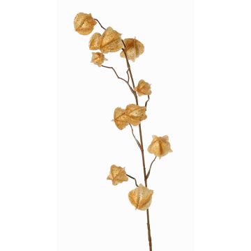 Rama artificial de physalis AINOS, frutos, purpurina, beige, 80cm