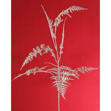 Rama decorativa de espárrago plumosus GIONA, plateada, 85cm Rama decorativa de espárrago plumosus GIONA, plateada, 85cm