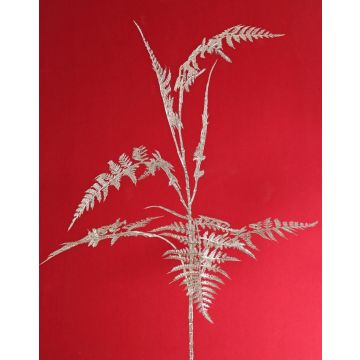 Rama decorativa de espárrago plumosus GIONA, plateada, 85 cm