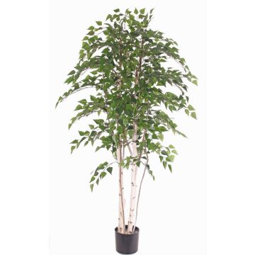 Abedul blanco artificial TAMOU, troncos naturales, verde, 195cm