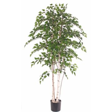 Abedul blanco artificial TAMOU, troncos naturales, verde, 195 cm