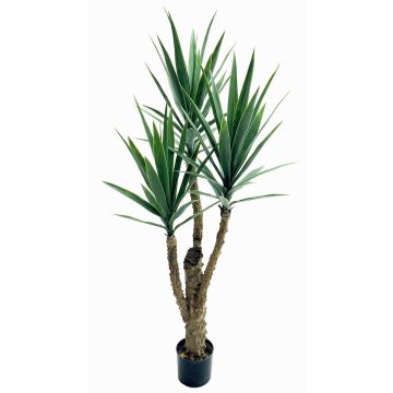 Palmera yuca artificial HIMBERGA, 150cm Palmera yuca artificial HIMBERGA, 150cm