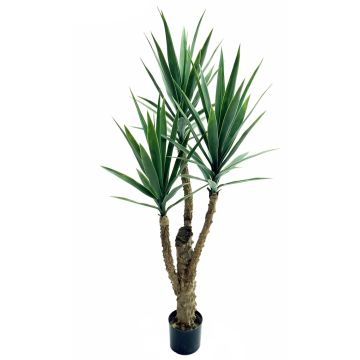 Palmera yuca artificial HIMBERGA, 150 cm