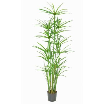 Césped artificial LEITHA, verde, 150cm Césped artificial LEITHA, verde, 150cm