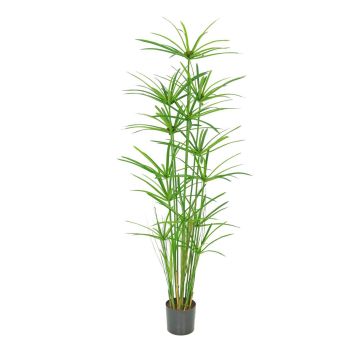 Césped artificial LEITHA, verde, 150 cm