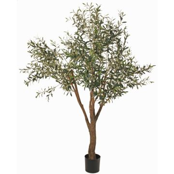 Olivo de plástico BITAC, tronco artificial, 200cm Olivo de plástico BITAC, tronco artificial, 200cm