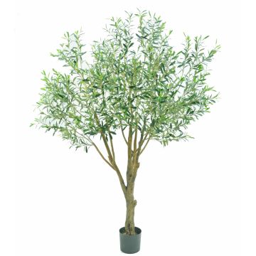 Olivo de plástico BITAC, tronco artificial, 200 cm