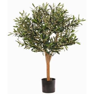 Olivo artificial ZISGÖ, frutos, tronco real, 85cm Olivo artificial ZISGÖ, frutos, tronco real, 85cm