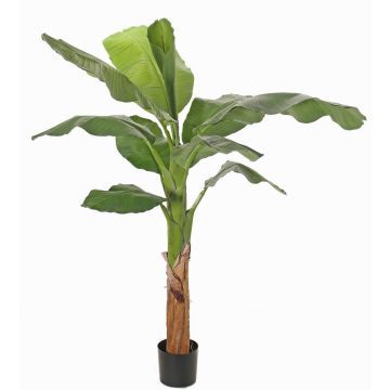 Plátano artificial SCHWANA, 150cm
