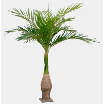 Palmera Ravenea de plástico KOKIN, 265cm