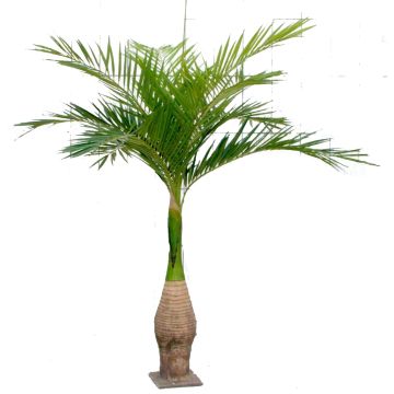 Palmera Ravenea de plástico KOKIN, 265 cm