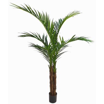 Palmera artificial Ravenea NISANA, 160cm