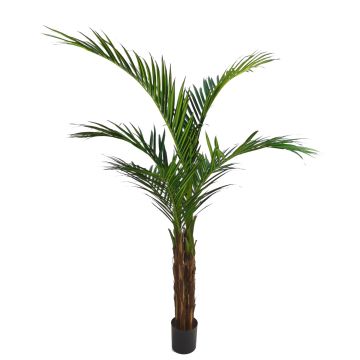 Palmera artificial Ravenea NISANA, 160 cm